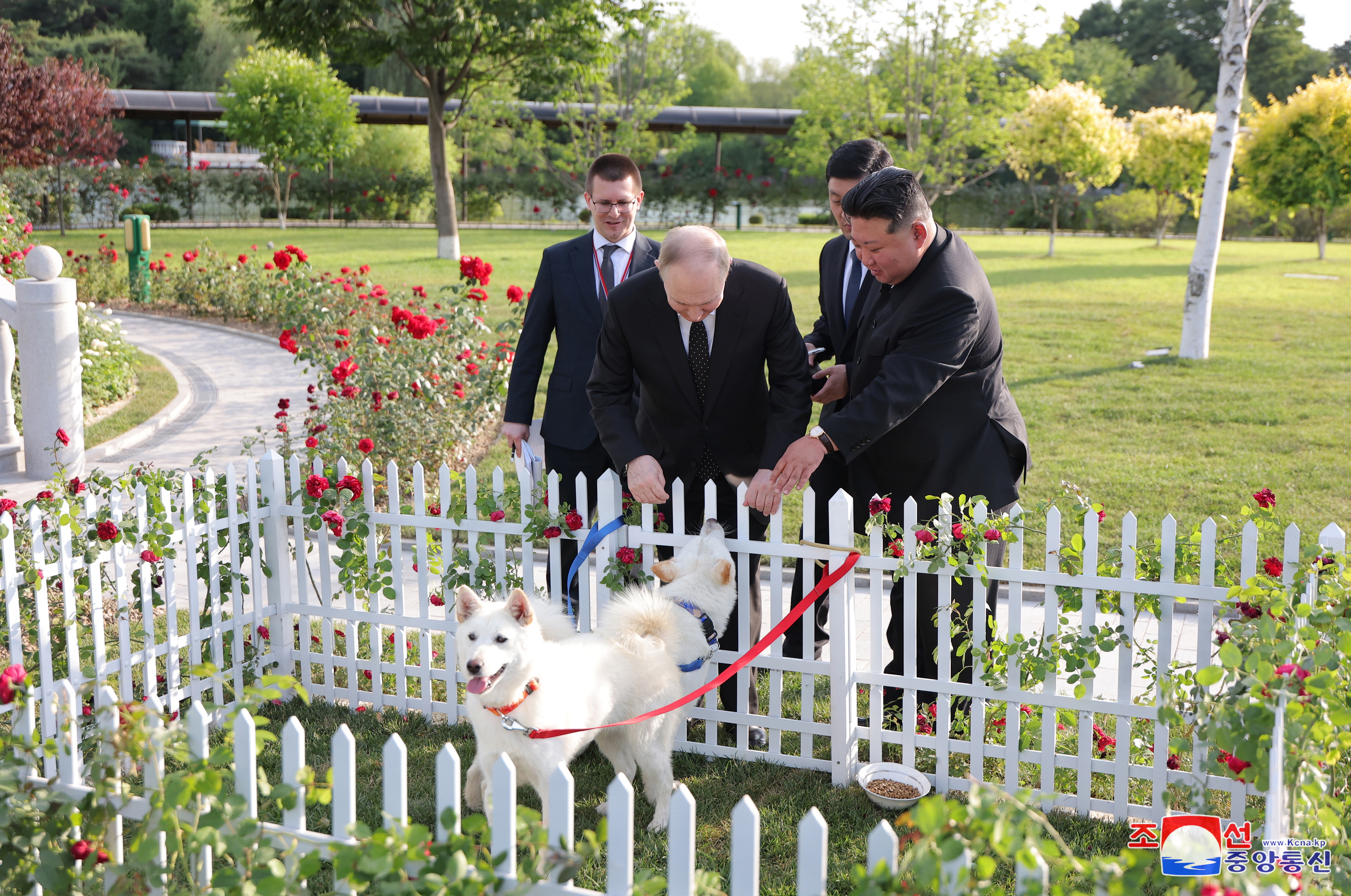 Dos perros y una limusina, los regalos que se hicieron Kim Jong-un y Putin