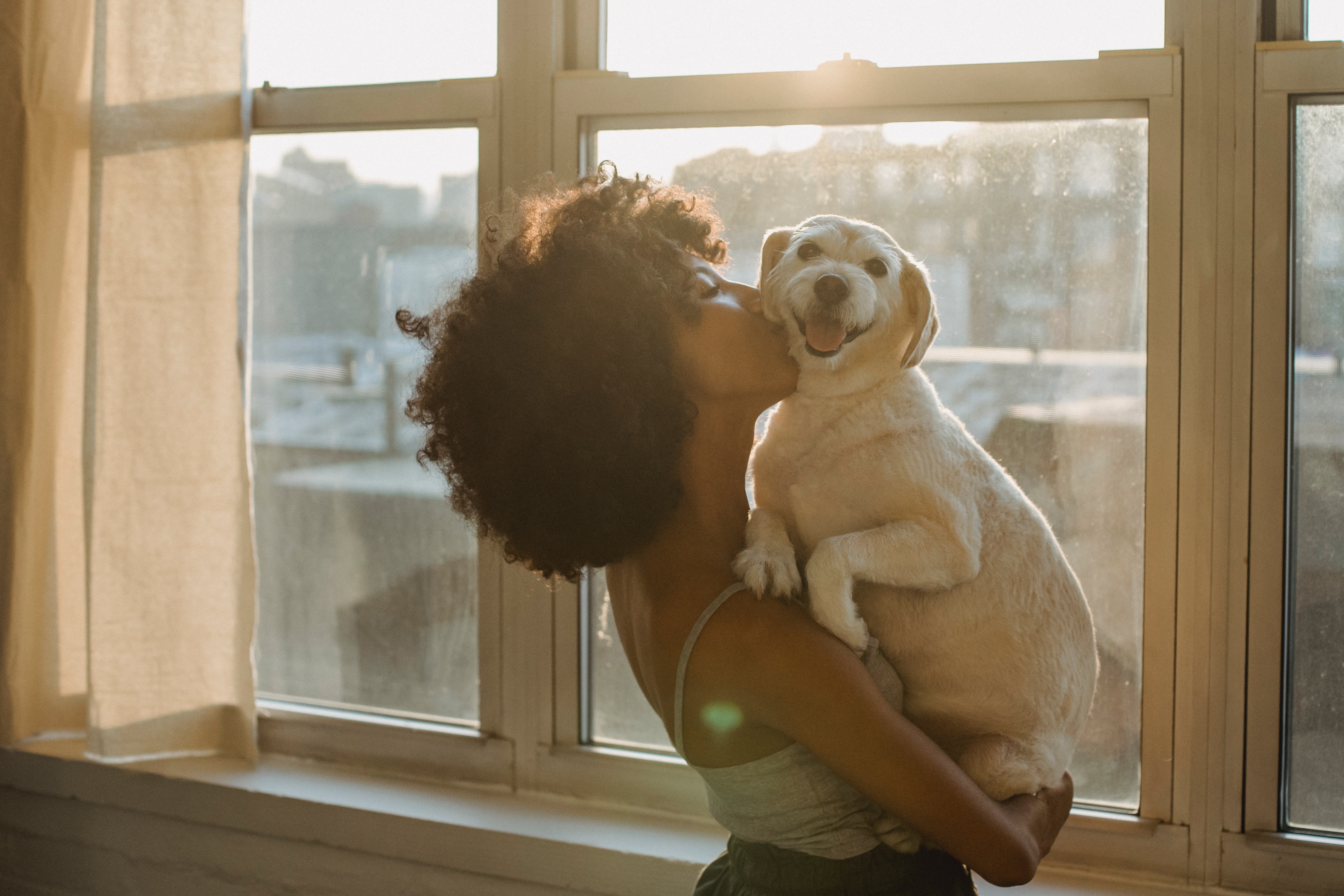 Abrazar a un perro reduce el dolor, confirma estudio.