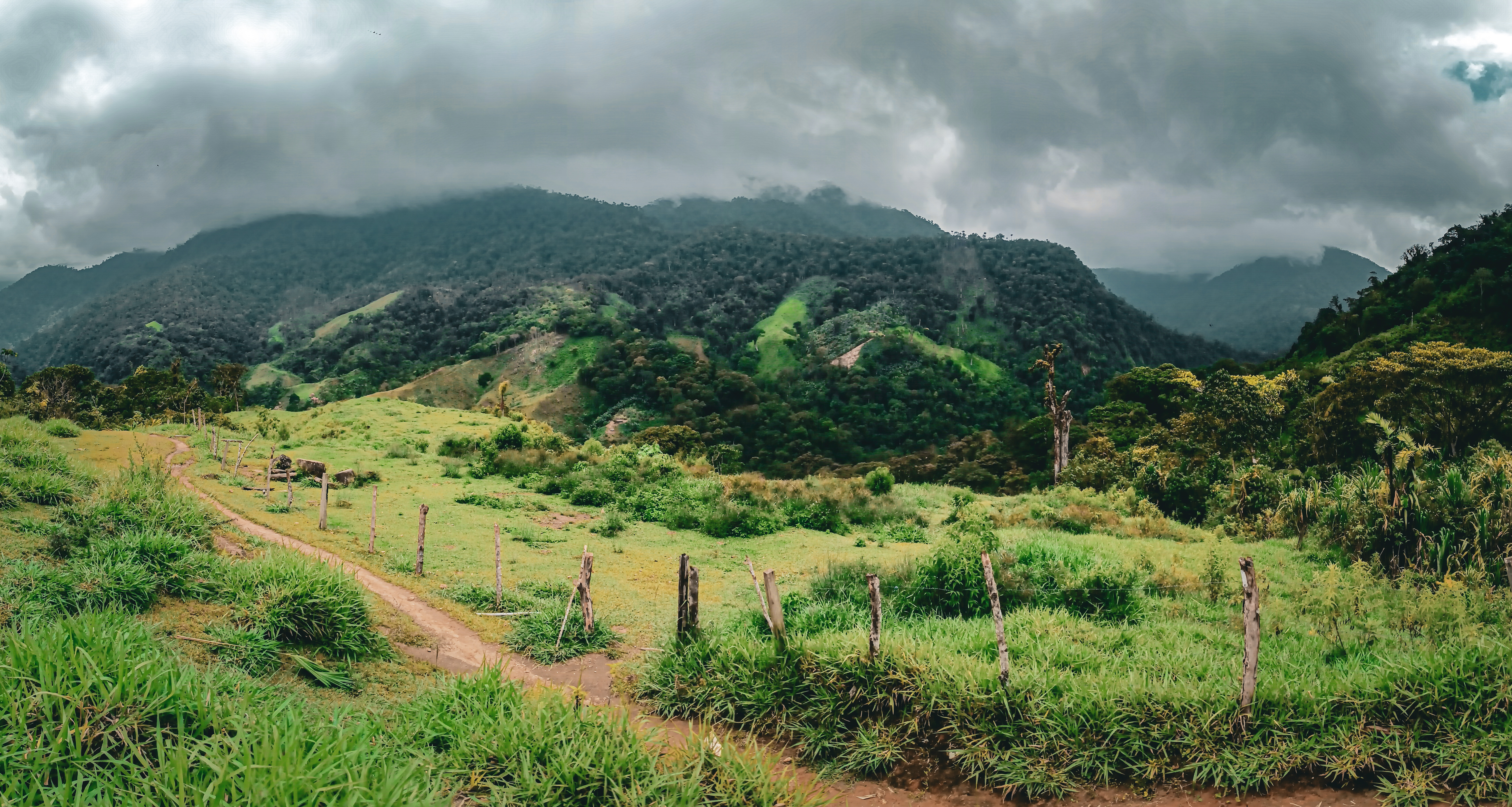 Pago por servicios ambientales: ¿una oportunidad para la construcción de paz?