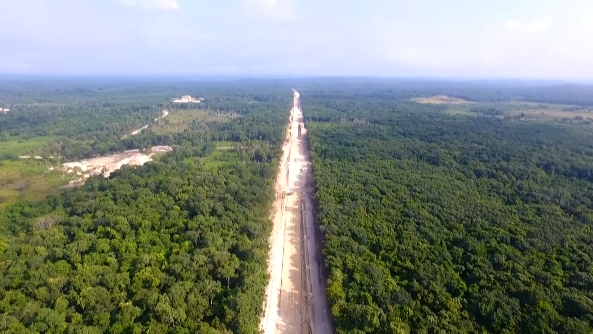 Tren Maya: la obra en México que enfrenta al Gobierno contra ambientalistas