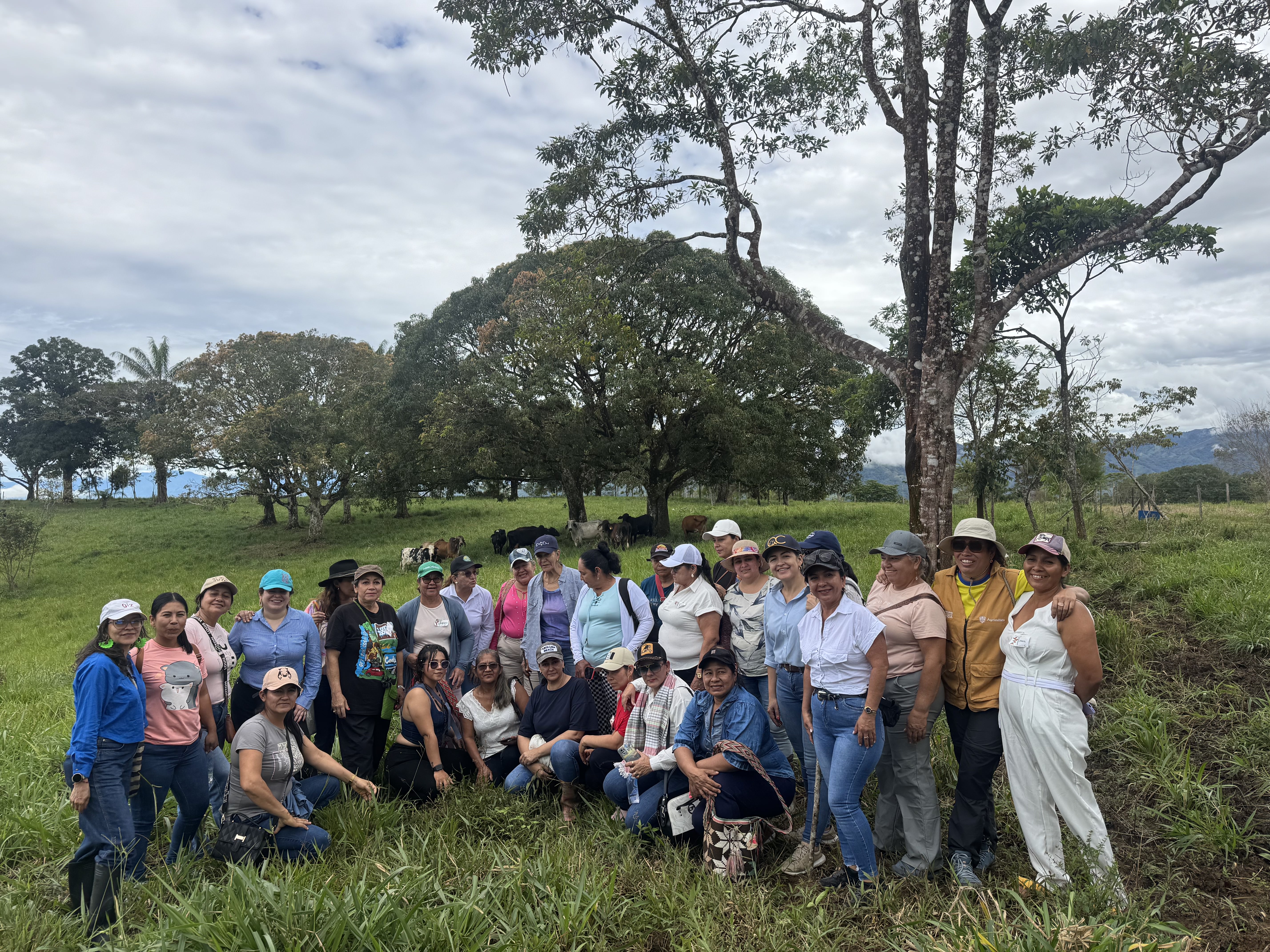 Así se están fortaleciendo los Acuerdos de Cero Deforestación en el Meta y Caquetá