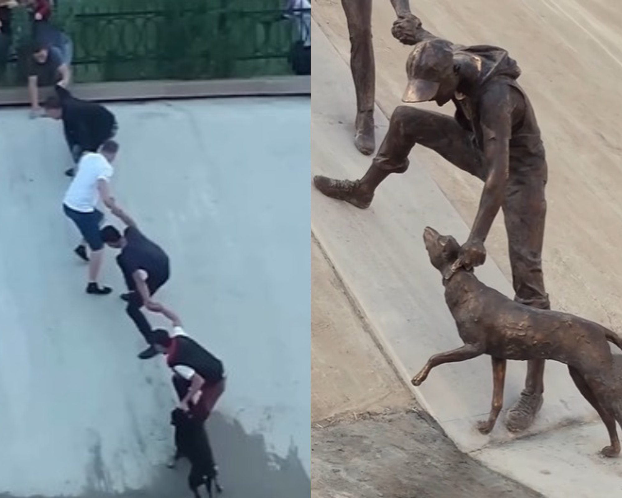 El rescate viral de un perro se convierte en monumento 10 años después y conmueve al mundo