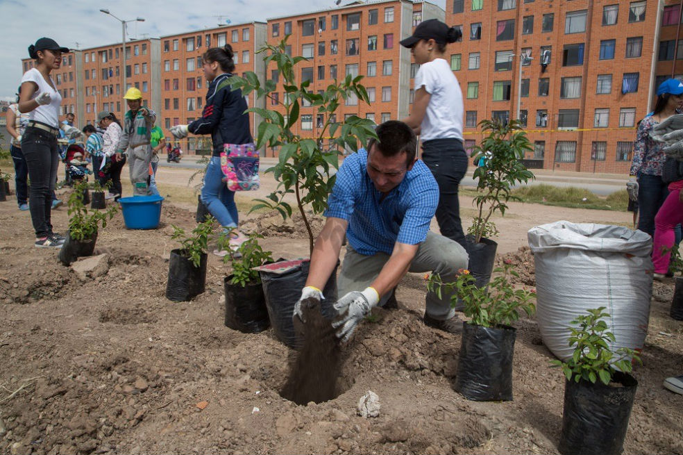 Recuperación del Río Soacha avanza con la siembra de 300 árboles