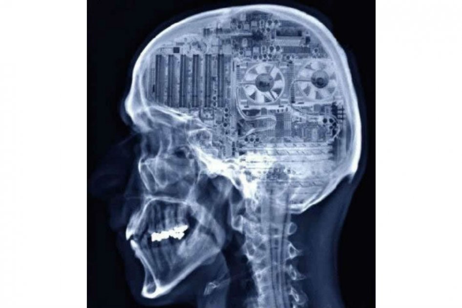 ¿Cómo forma el cerebro los recuerdos?