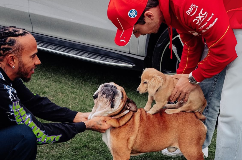 El día que Roscoe, el perro de Hamilton, conoció a Leo, el compañero de Leclerc