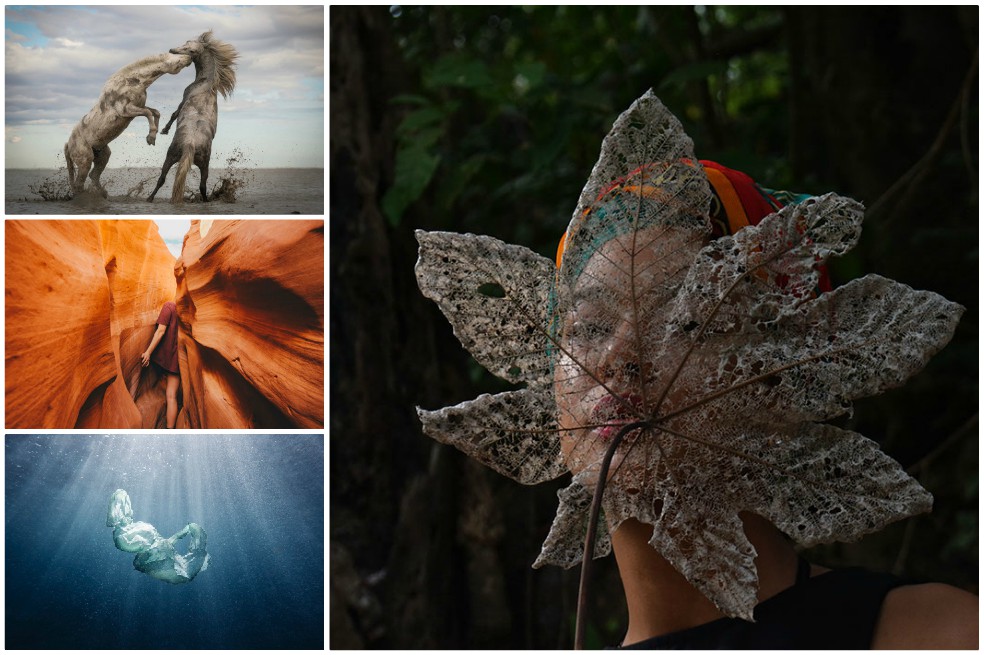 Las increíbles fotos ganadoras del Concurso Global de Fotografía 2018 de The Nature Conservancy