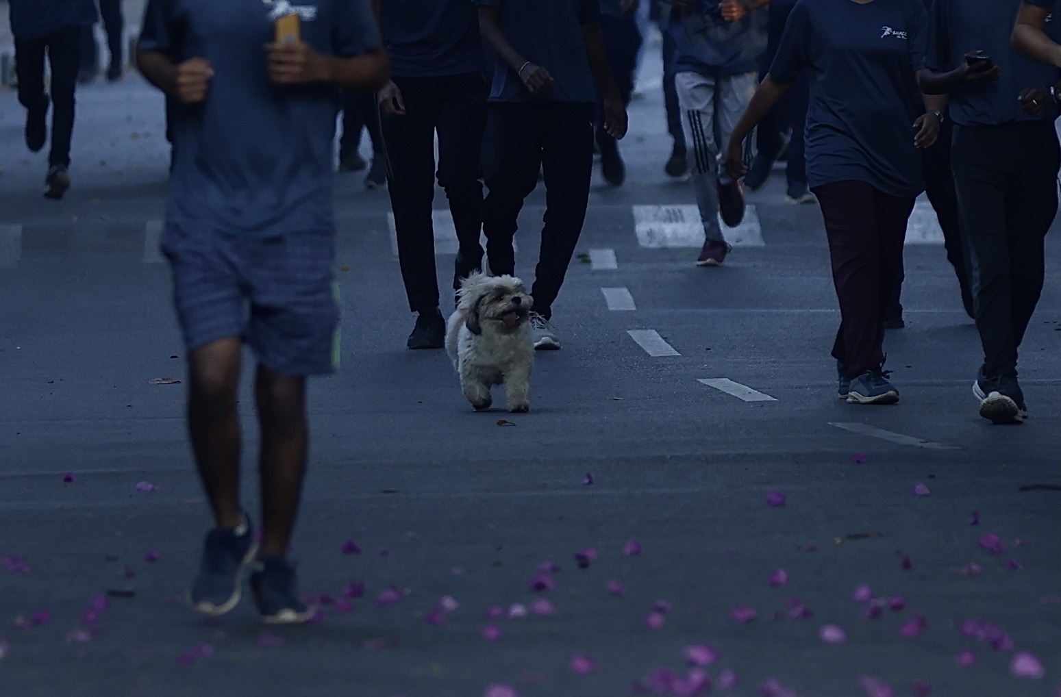 Correr una maratón podría provocar cambios temporales en el cerebro