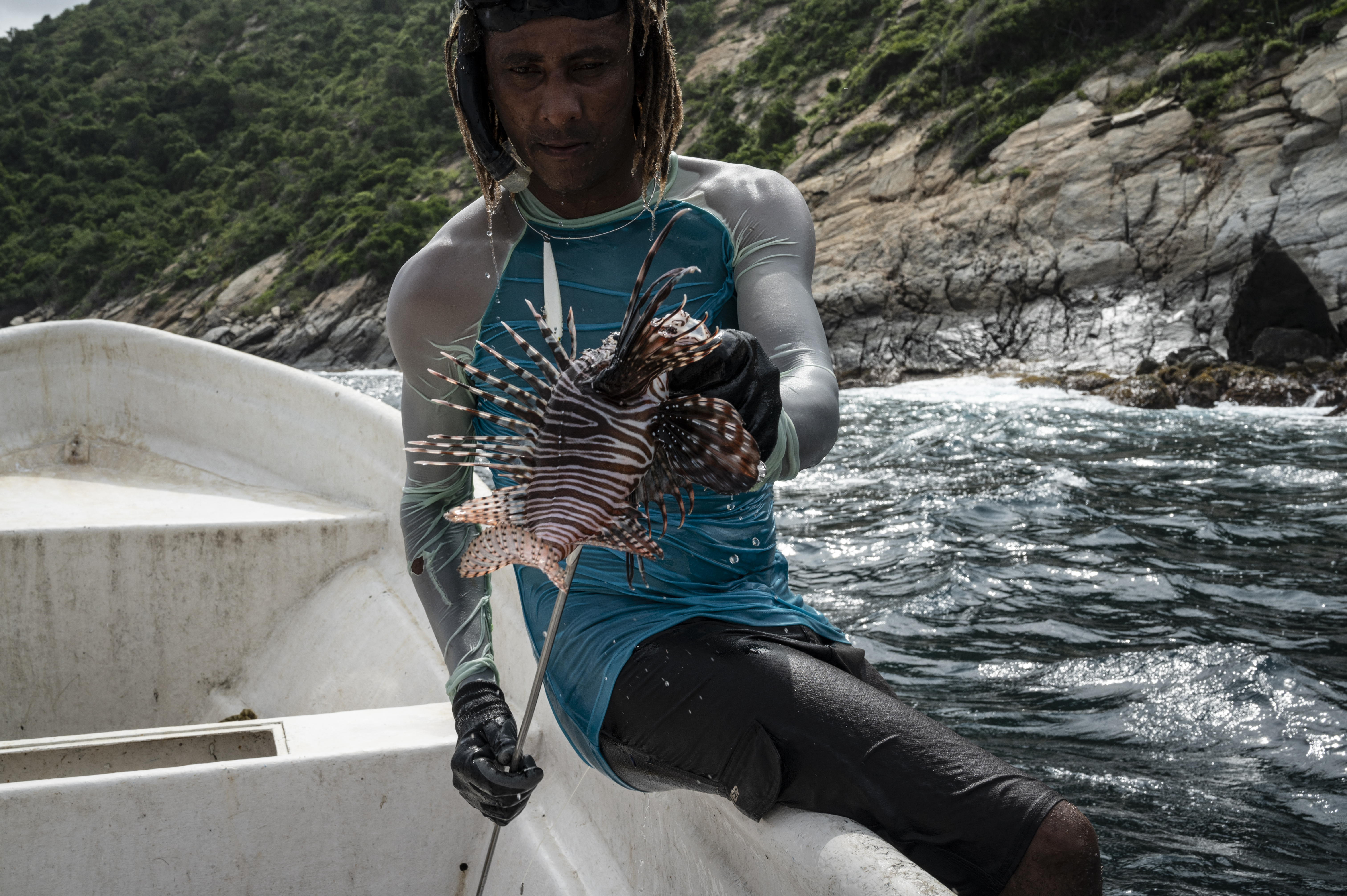 Guerra al pez león, un terror en los mares de Venezuela
