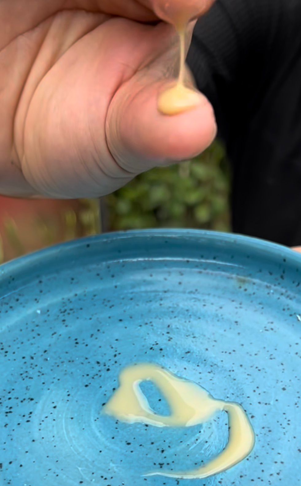 Leche condensada