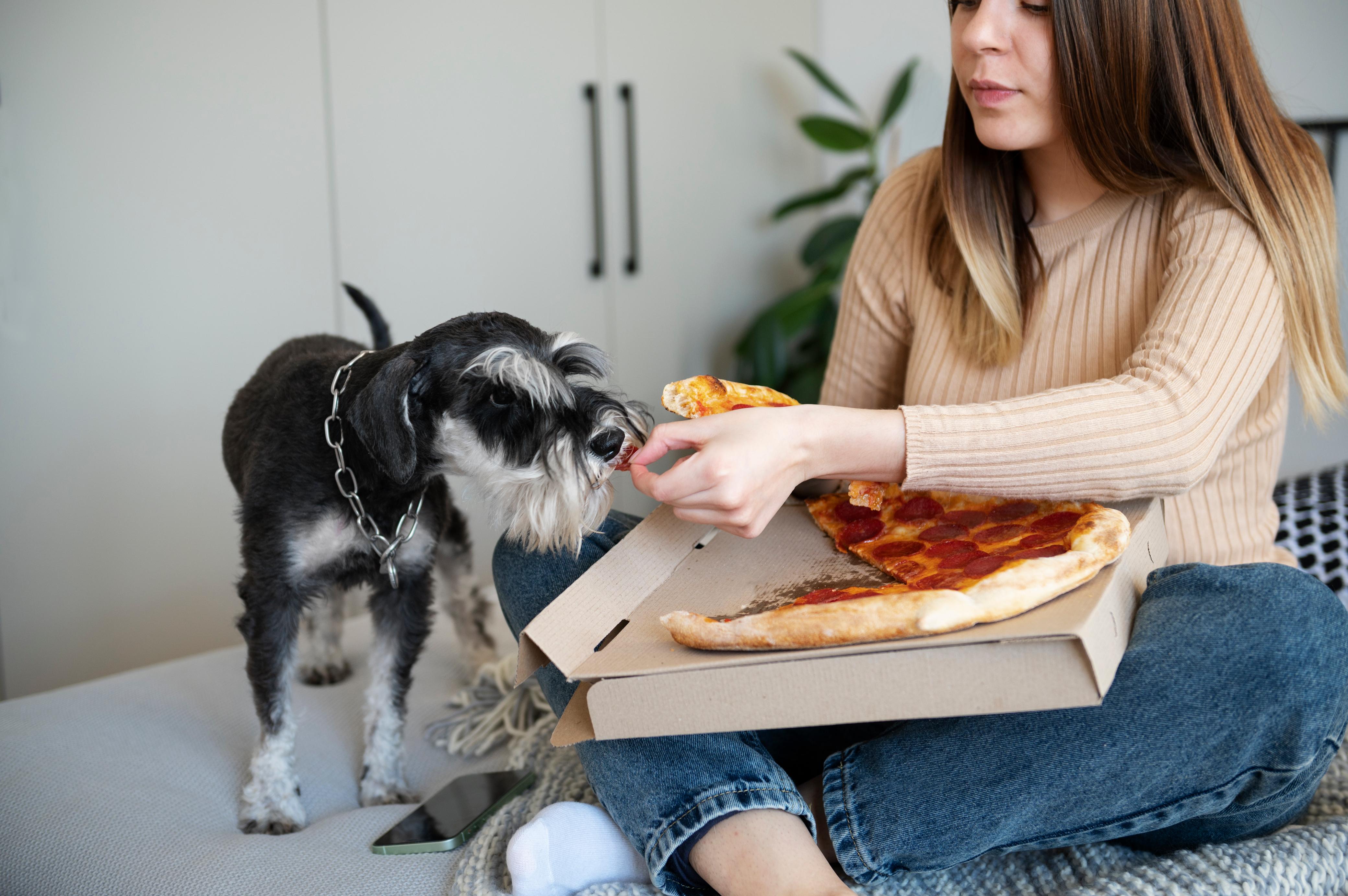 ¿Cómo preparar pizza casera para perros? Receta fácil