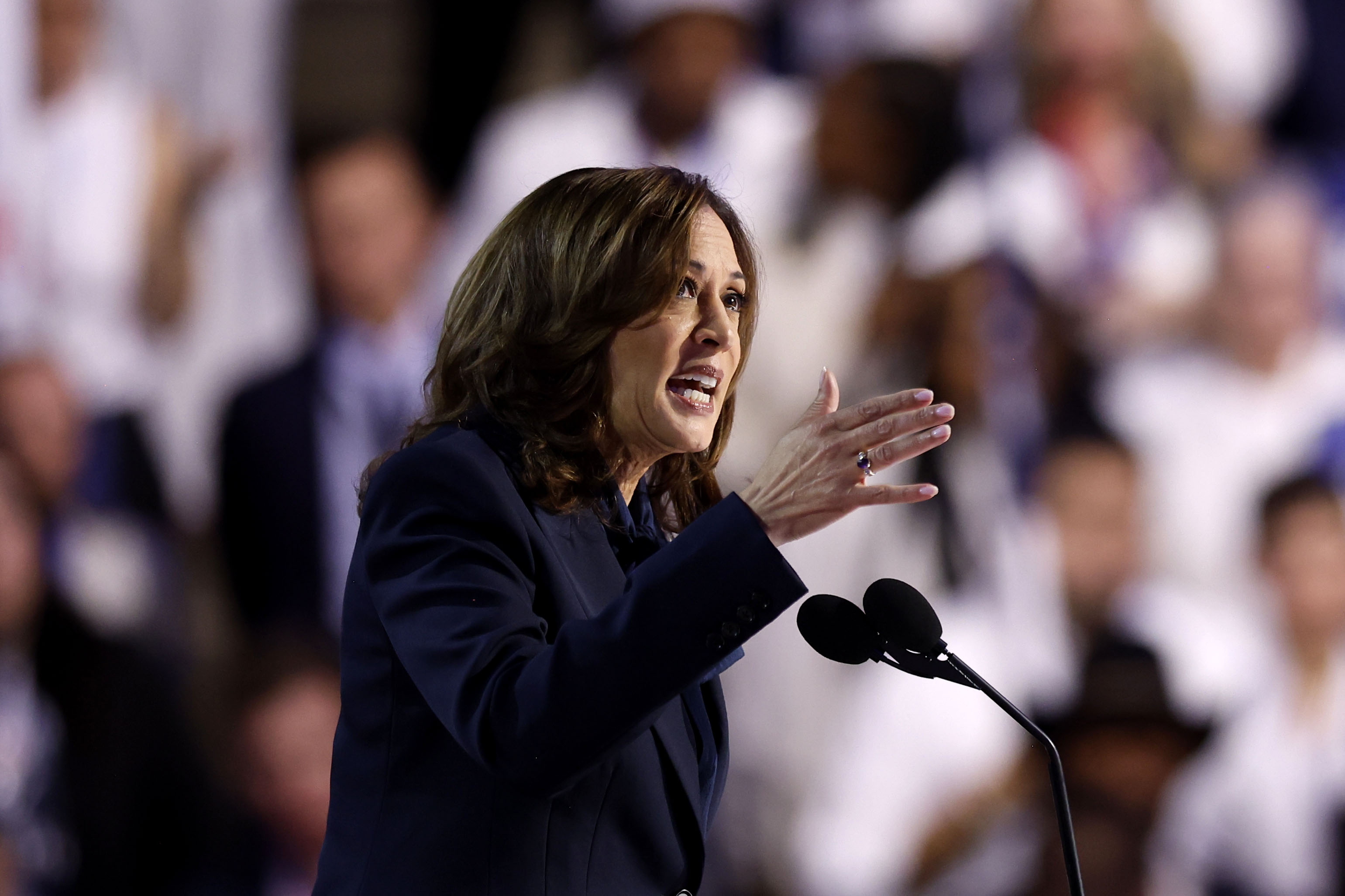 Kamala Harris promete defender a Israel pero condena la “devastación” en Gaza
