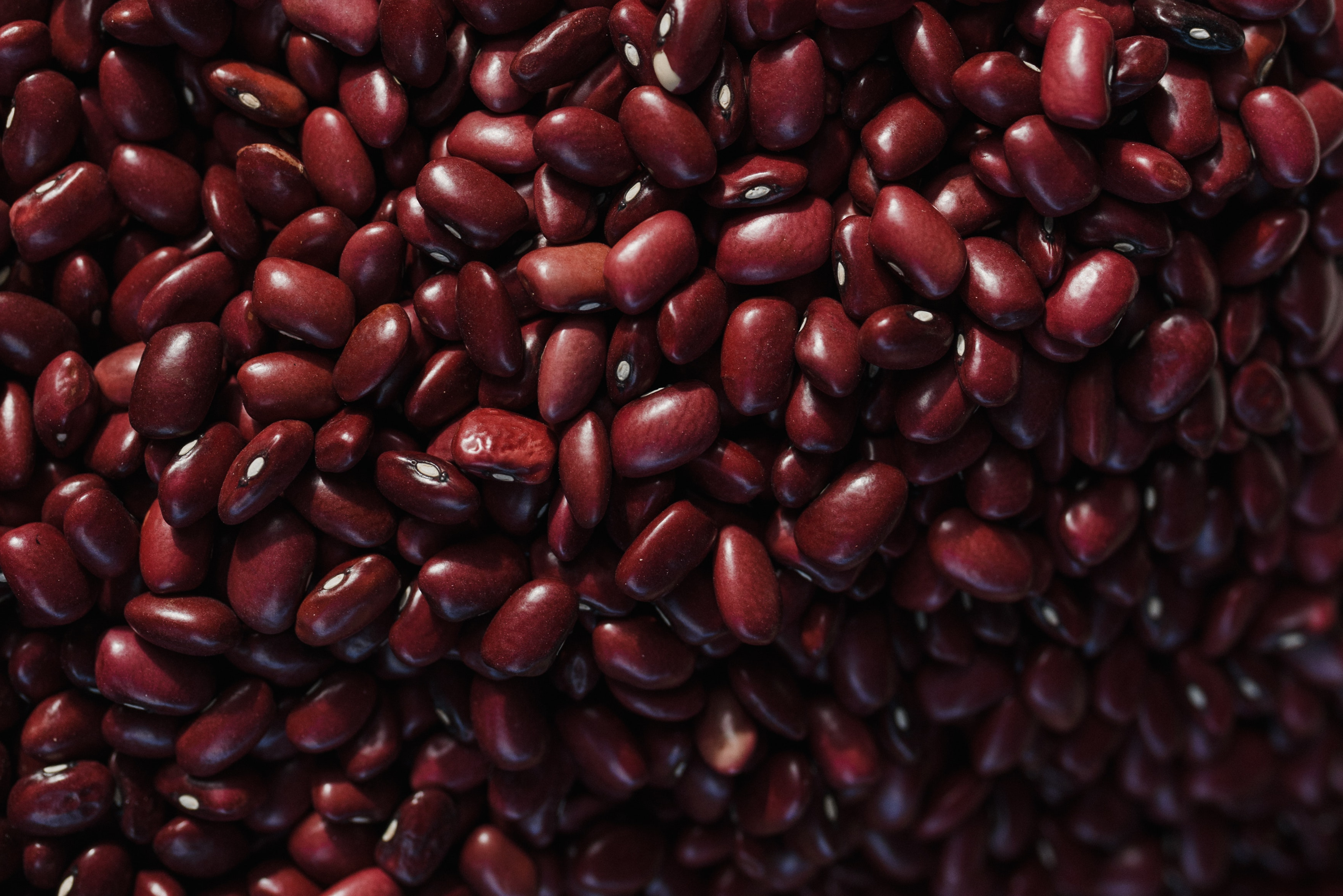 ¿Te gustan los fríjoles? Estas recetas son ideales para preparar en casa