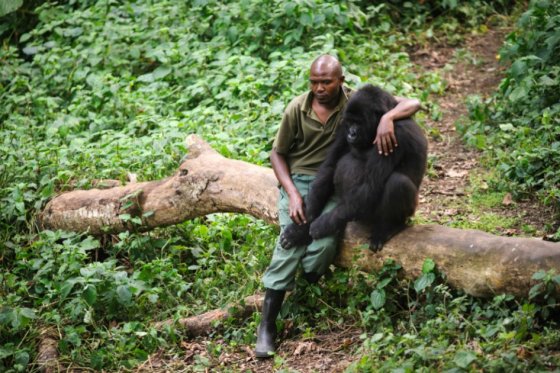 Posible extracción de petróleo aún amenaza a gran reserva natural africana