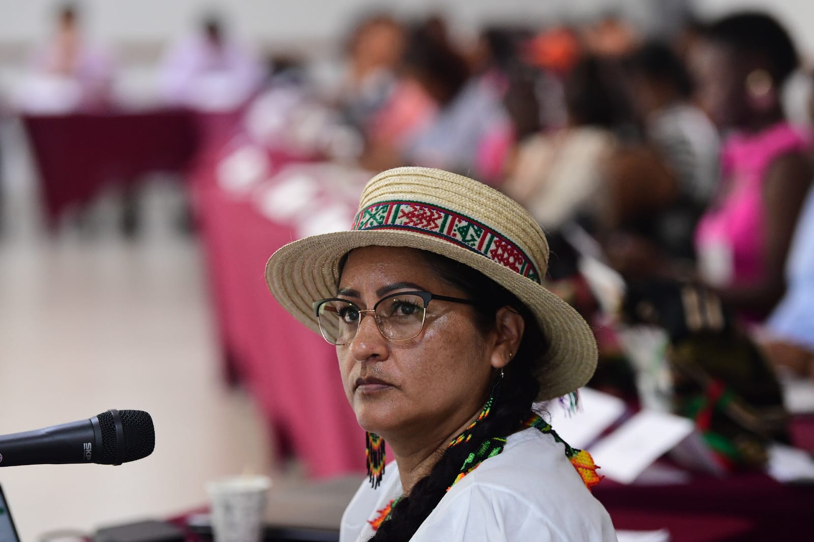 Los pueblos indígenas Awá y Esperara Siapidara participaron del espacio a través de sus autoridades étnicas.