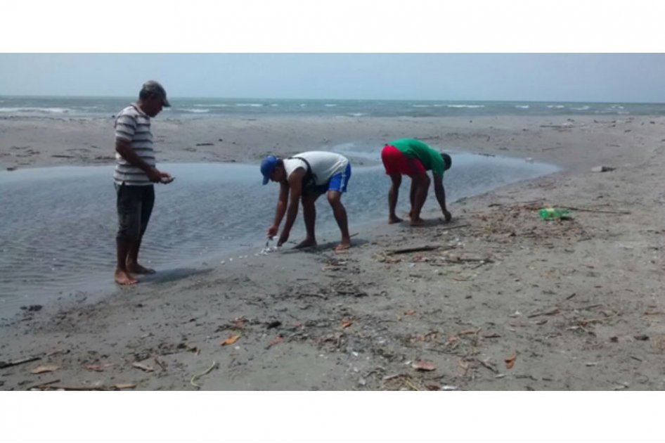 Alerta por mortandad de peces en Tolú