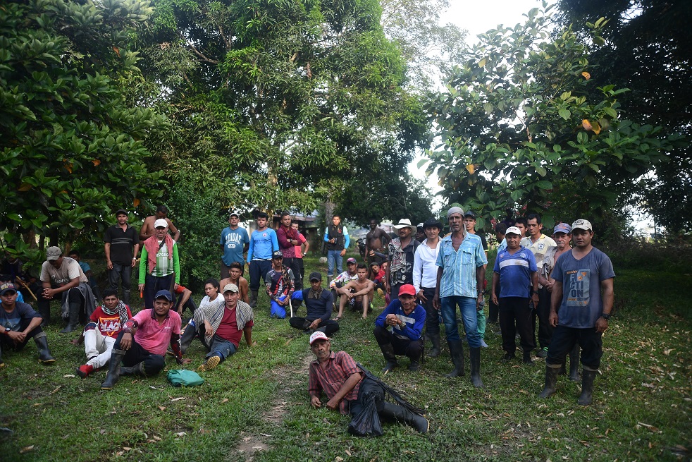Los campesinos de La Reforma, en Puerto Rico (Meta), se ponen cita todos los días para cuidar los tajos de coca, mientras el Ejército permanece a varios kilómetros.