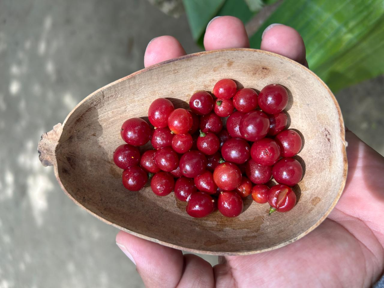 Los Montes de María, una despensa gastronómica en constante descubrimiento