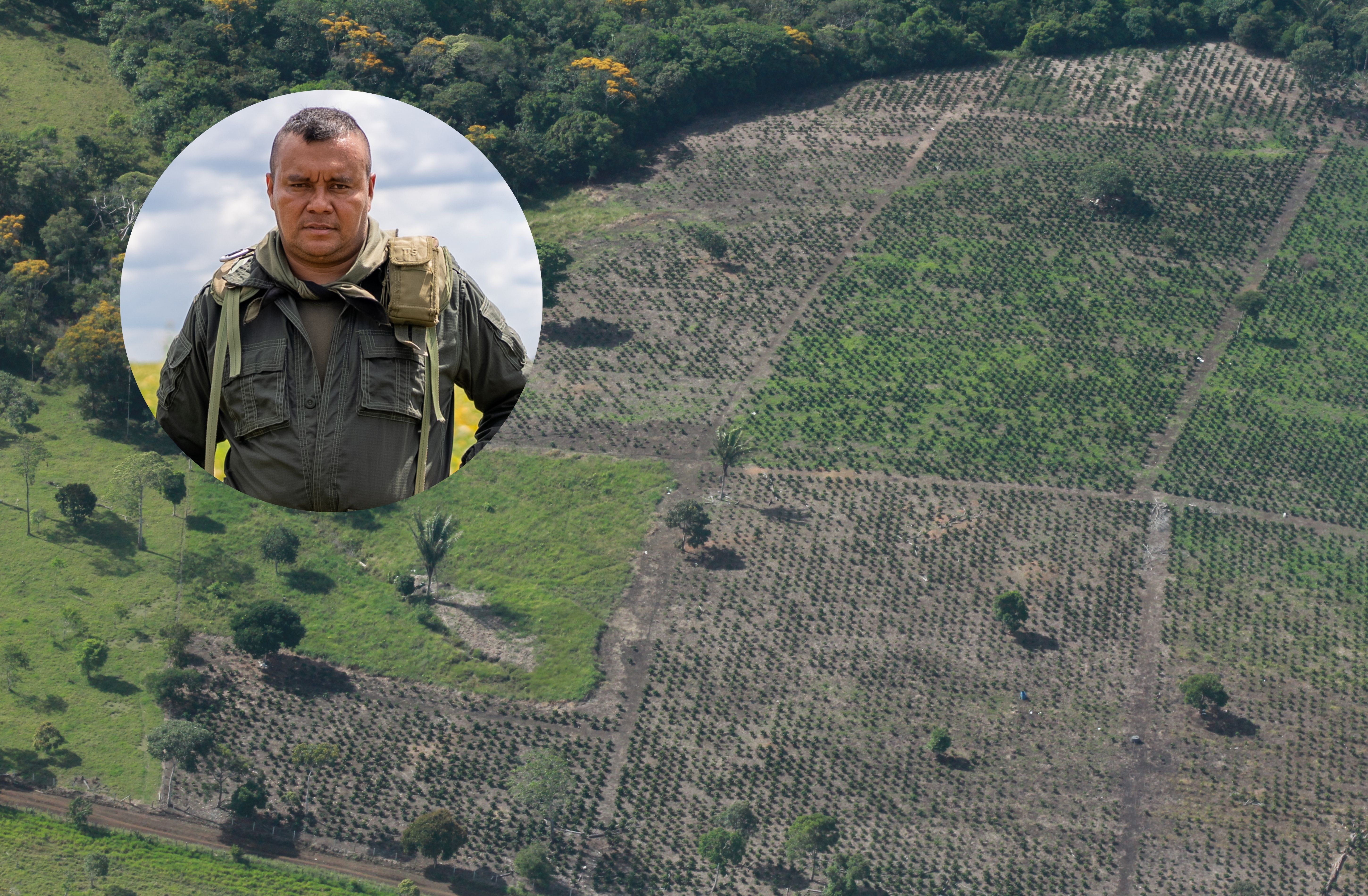 Promesa de disidencia de Calarcá contra la deforestación choca con la expansión de la ganadería 