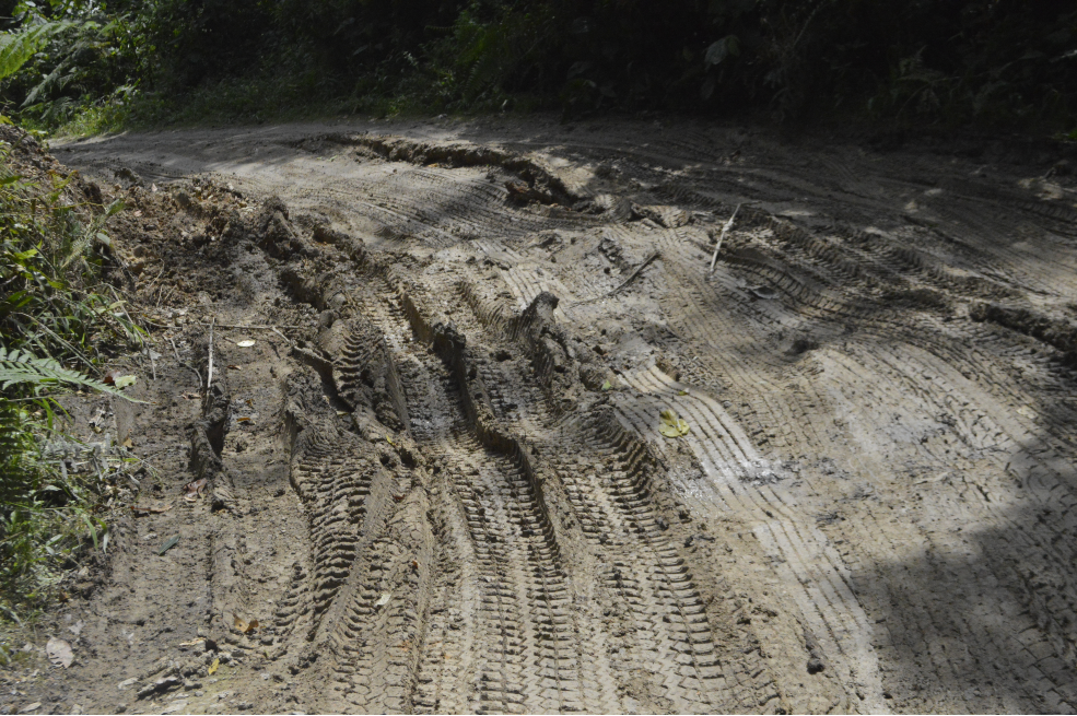En medio del lodo, un rastro de la carretera en Tena8Cundinamarca)