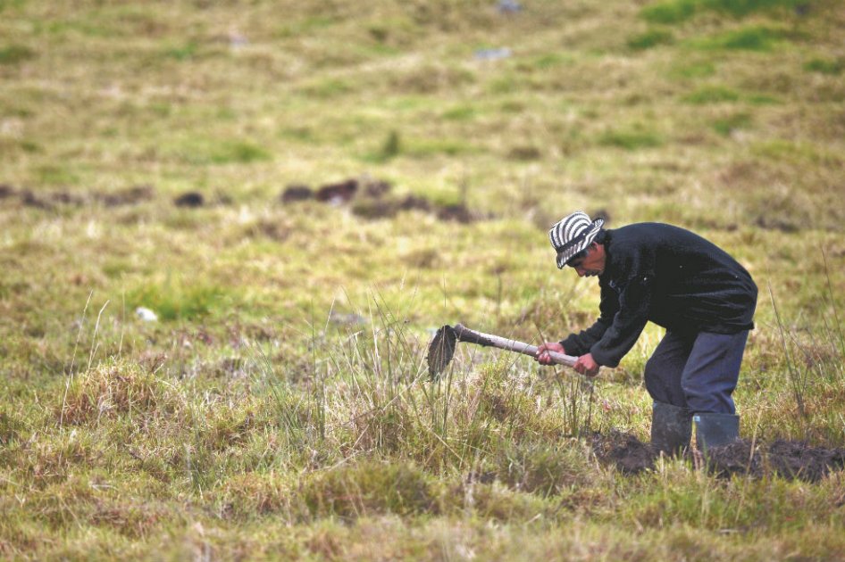Los sectores que más pueden ofrecerla, porque son los más intensivos en mano de obra, fueron los que menos crecieron en la última década. La producción agropecuaria colombiana, por ejemplo, creció 1,3% promedio anual.