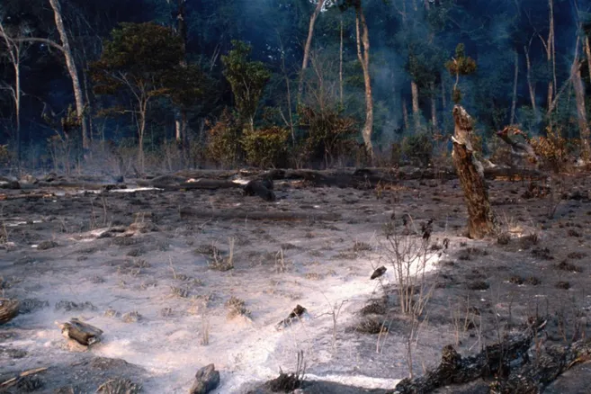 Recursos naturales: el mundo ya entró en “números rojos” para 2022