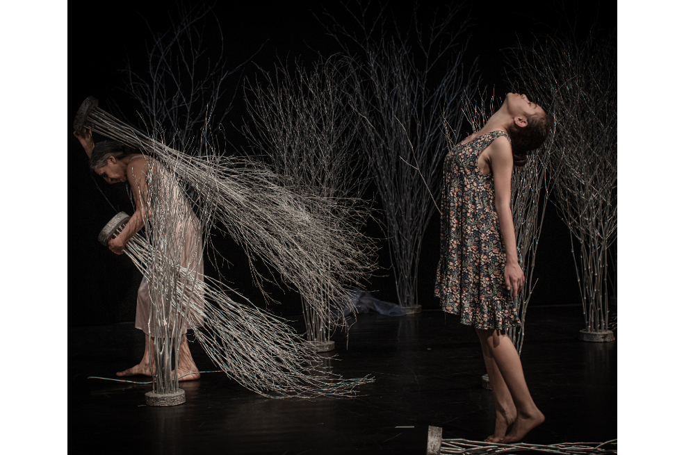 “Estela”, el rastro del movimiento