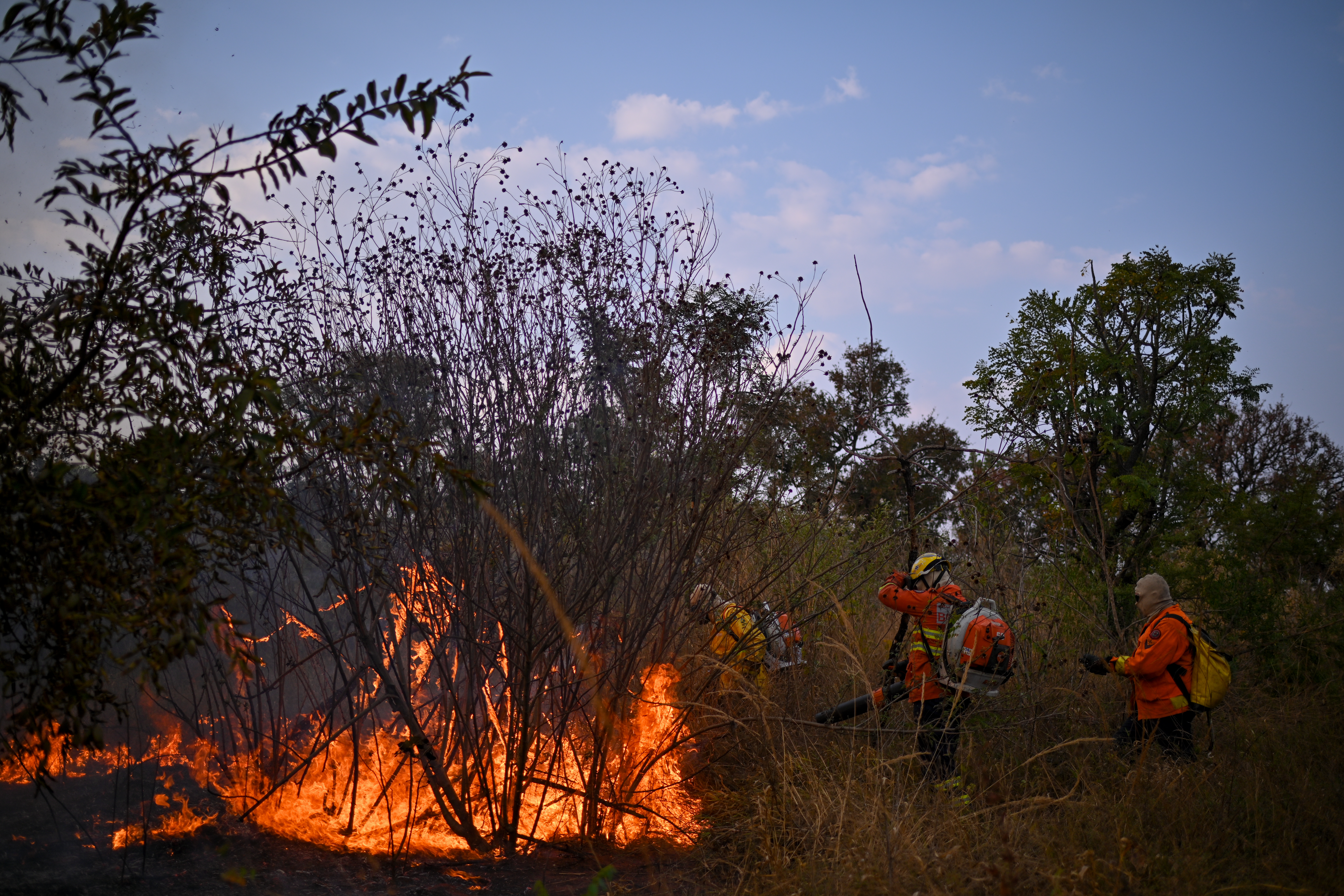 Las autoridades de Brasil aseguraron que este incendio es uno de los peores registrados desde que Brasil empezó a hacer un seguimiento de los incendios, en 1998.