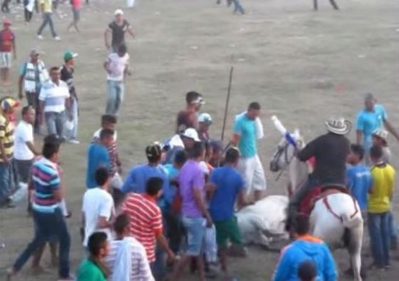 Piden judicializar al promotor del ‘espectáculo’ de la corraleja en Sucre