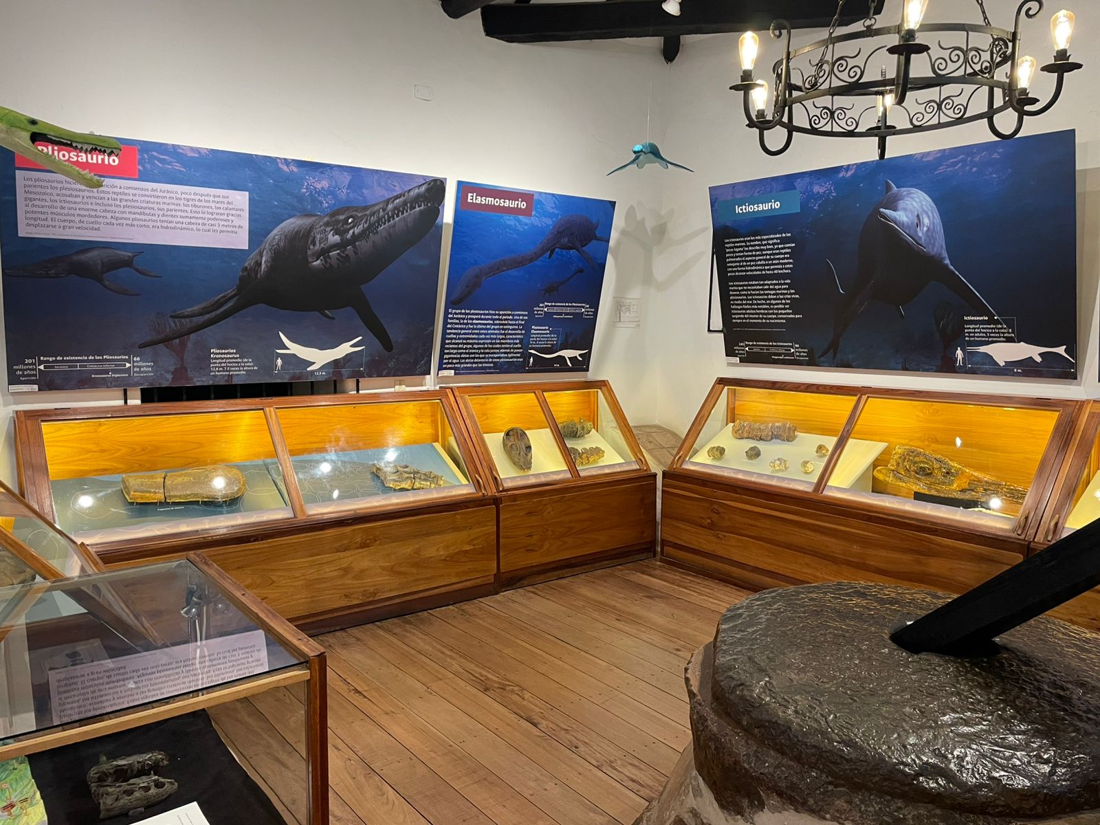 Museo paleontológico