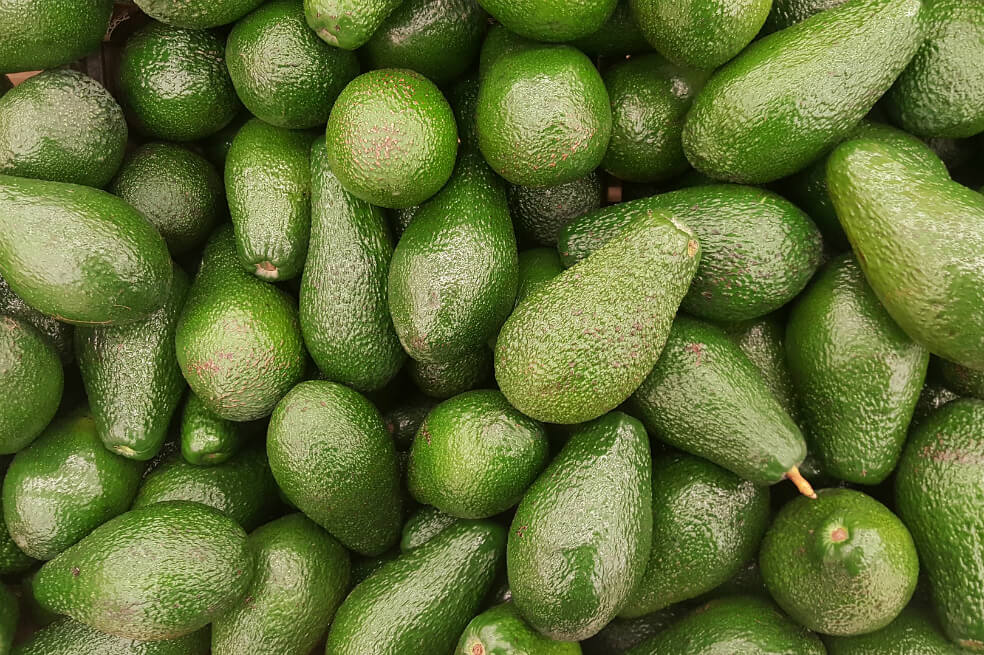Exportaciones del sector agro crecieron 3,6 % a septiembre de 2020