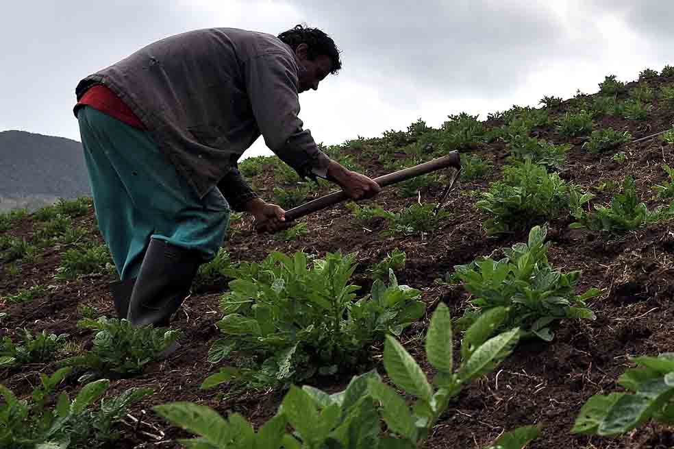 El agro, tras mejores resultados