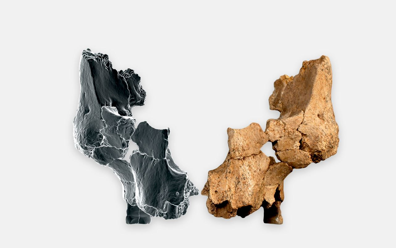 Descubren el rostro humano más antiguo: data de más de un millón de años