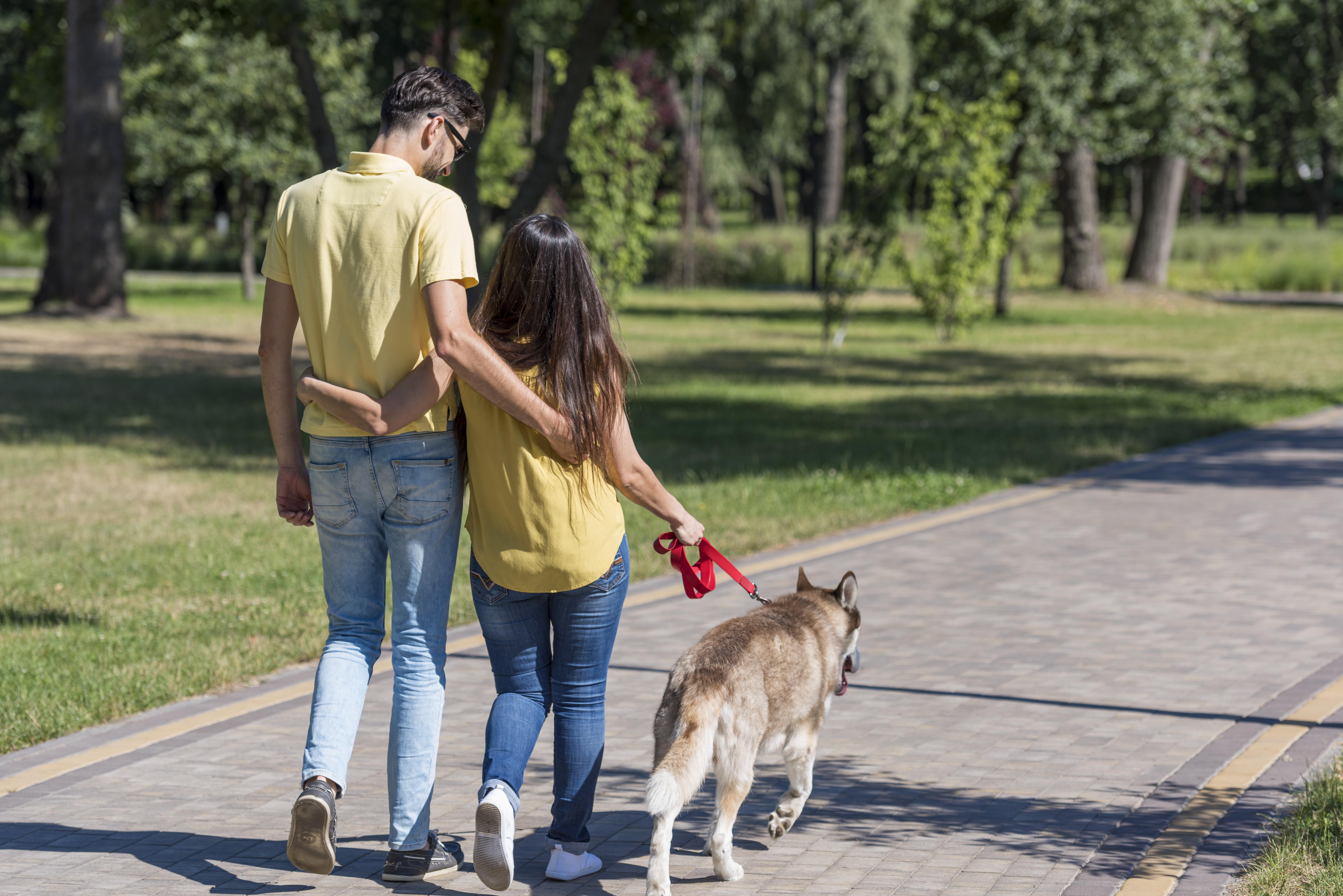 Tenga en cuento que los puntos de votación suelen tener alto tráfico de personas, antes de decidir si su acompañante será un peludito. Tenga en cuenta que esto puede ser estresante para el animal.
