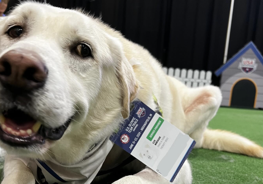 Este es Izzo, el perrito que fue diagnosticado con cáncer de hueso. Su veterinario cree que apenas le quedan días de vida.