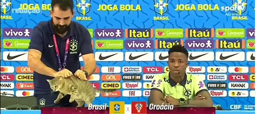 Video: Arrojan a gato de una mesa por “interrumpir” la conferencia de Vinícius Jr
