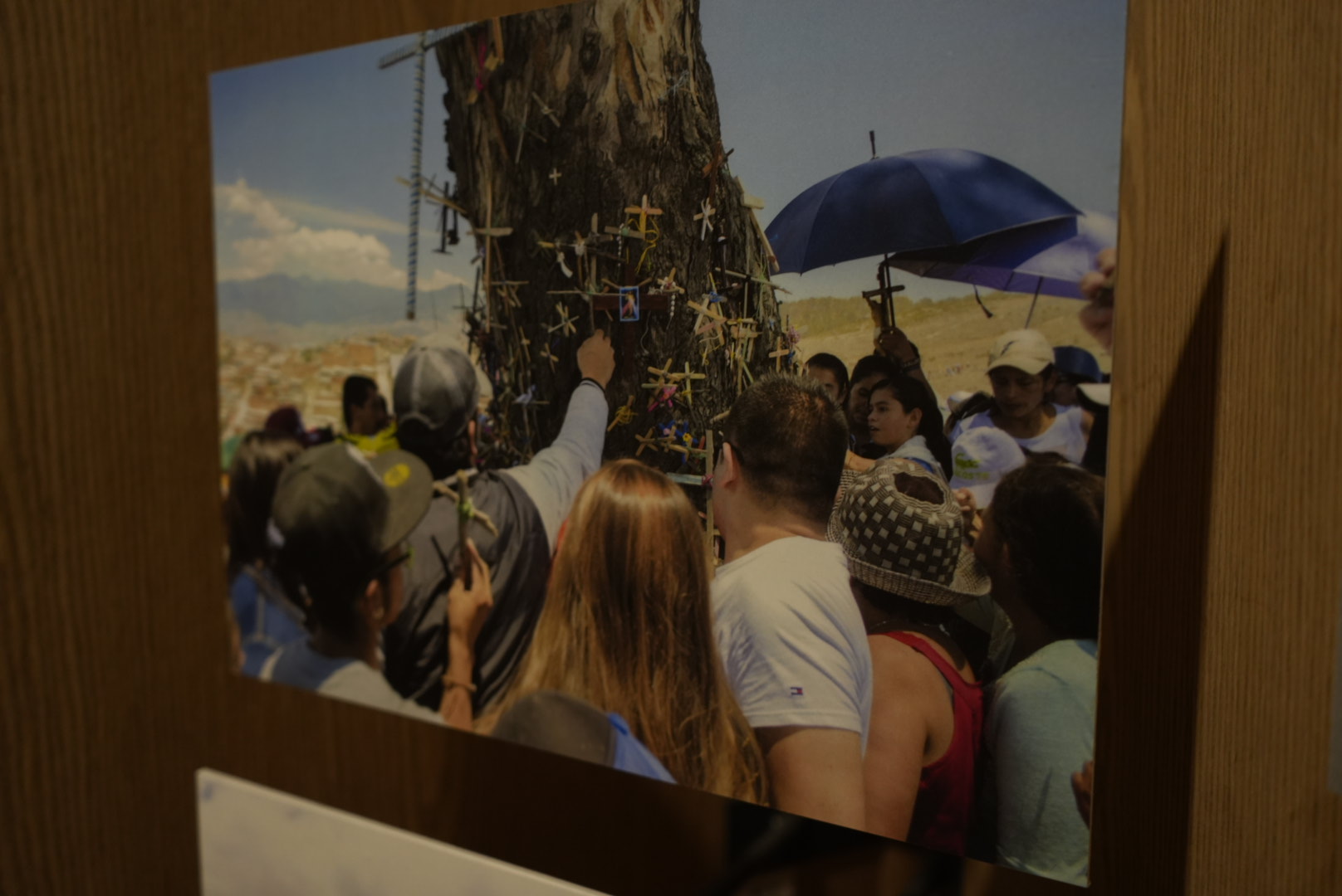 Árbol de la vida - palo del ahorcado, Ciudad Bolívar, Bogotá.