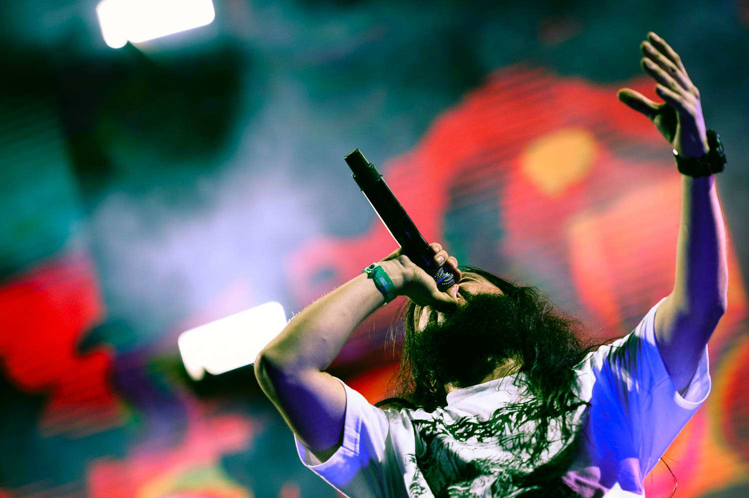 El resumen del segundo día de Rock al Parque 2017 en 50 fotos para coleccionar
