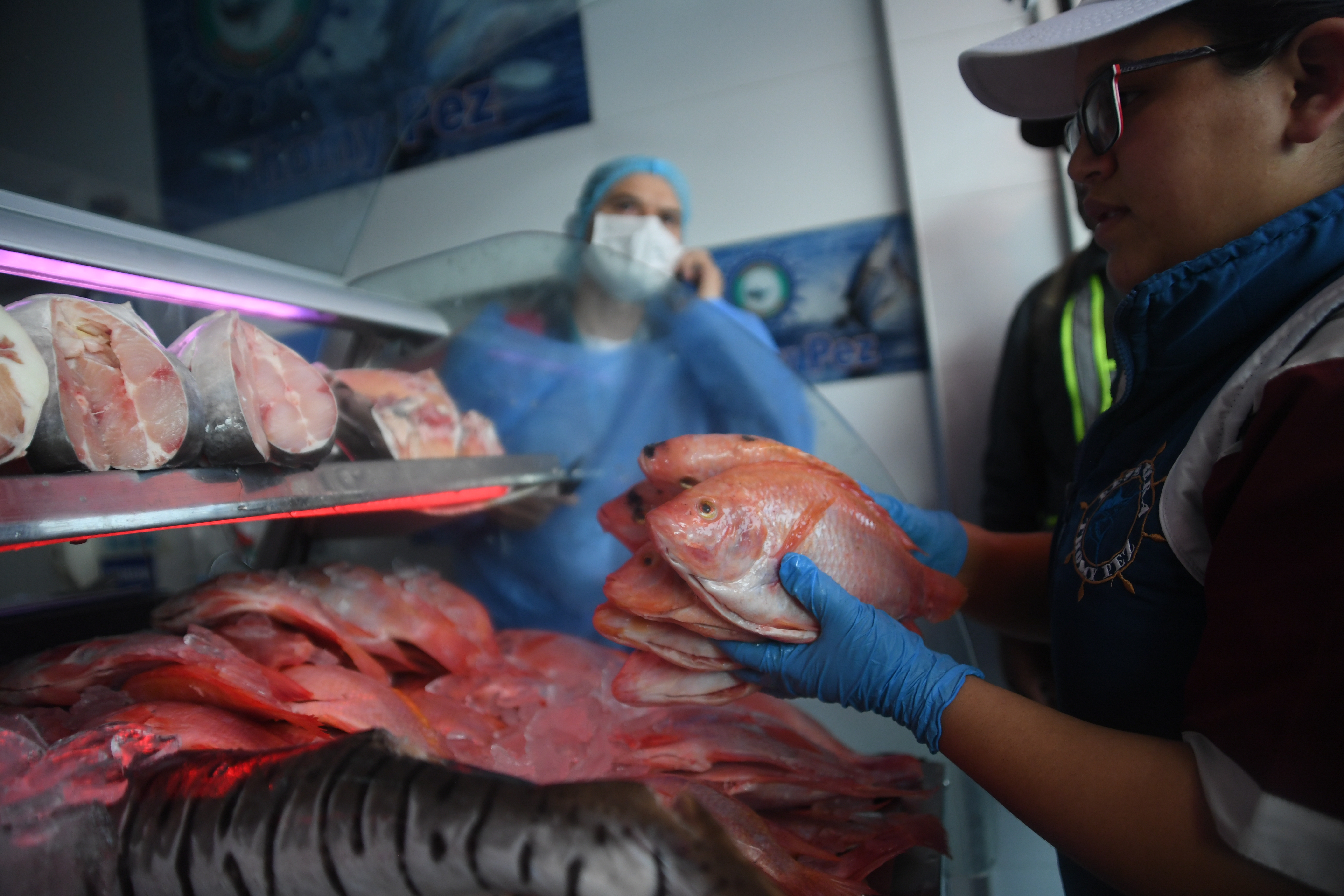 Así está el precio del pescado en las principales centrales mayoristas de Colombia