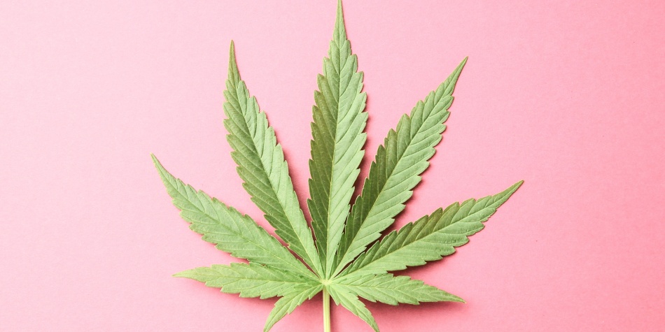 Los beneficios del cannabis
