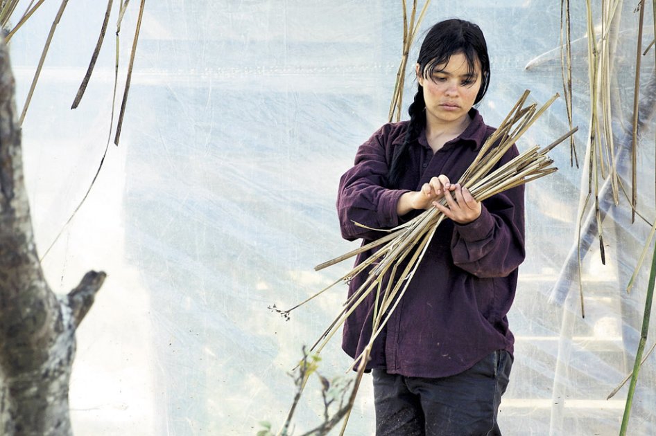 Una imagen de la película ‘La sirga’, producción que se realizó en parte con fondos promovidos por la Ley de Cine. /Archivo particular