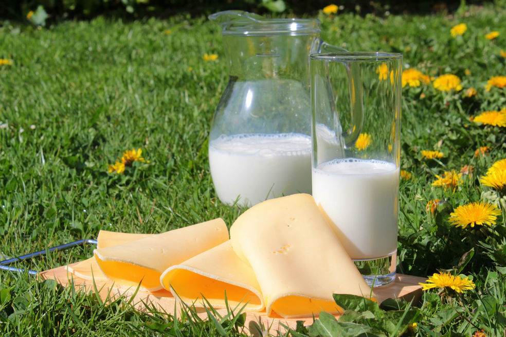 La leche y los productos lácteos, no relacionados con la obesidad infantil