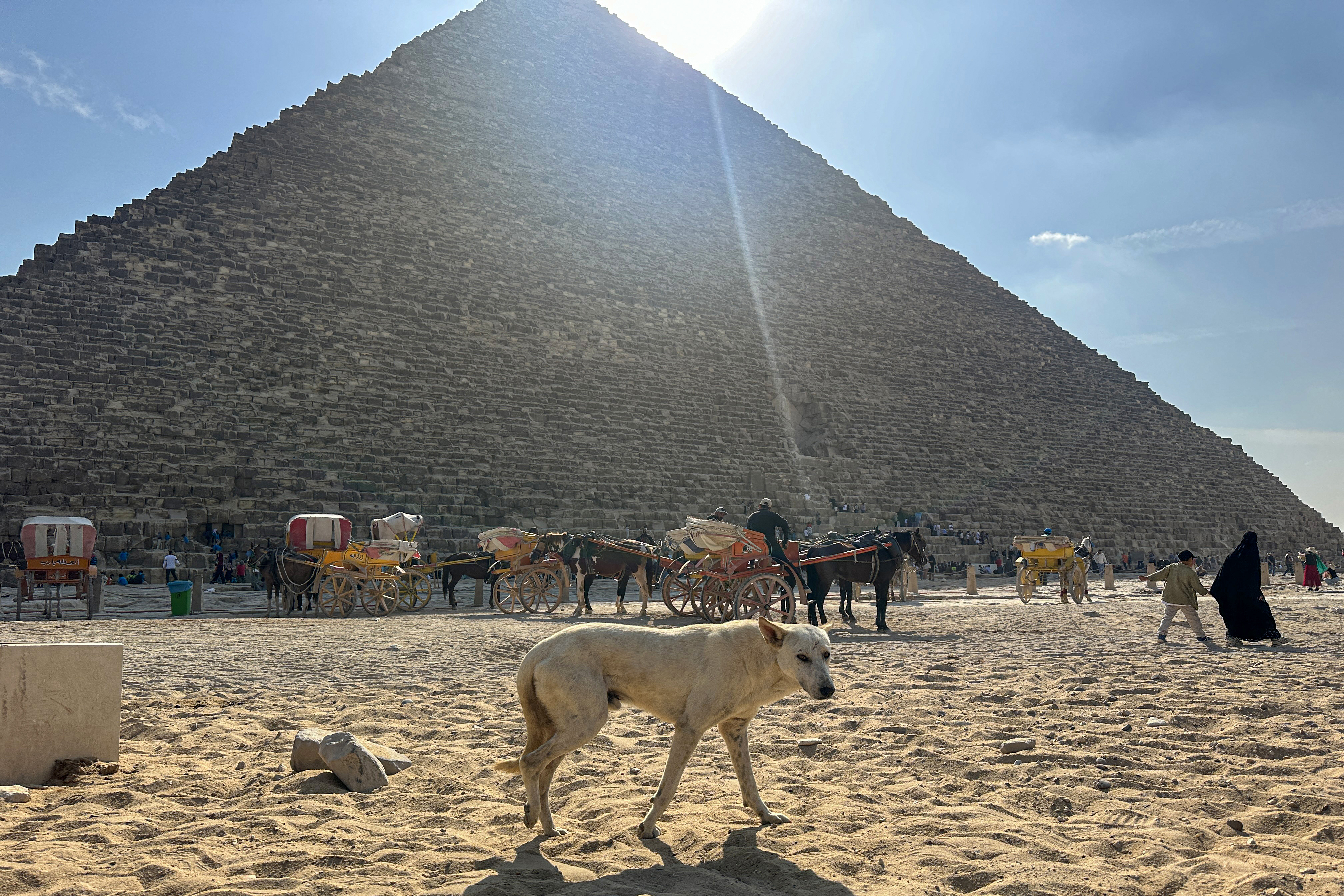 Paseos con camellos en pirámides de Giza ¿por qué ya no son una opción turística?
