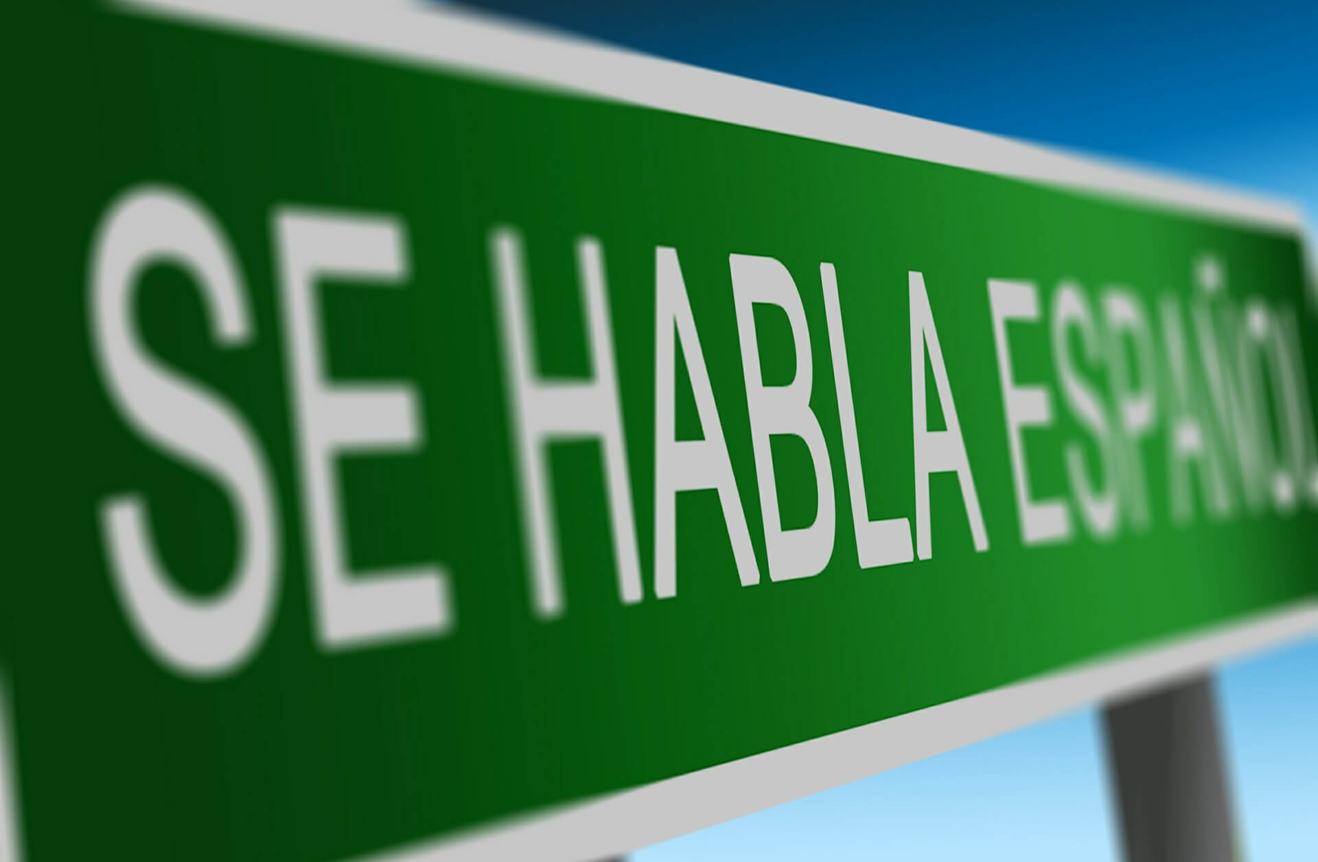 ¿Cómo se dice, castellano o español?