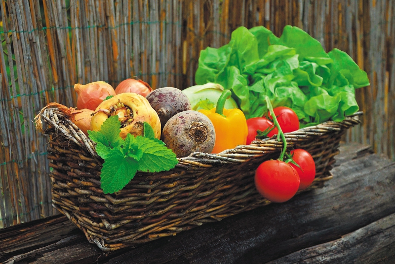 Salud: ¿Qué carne alimenta más en una dieta?