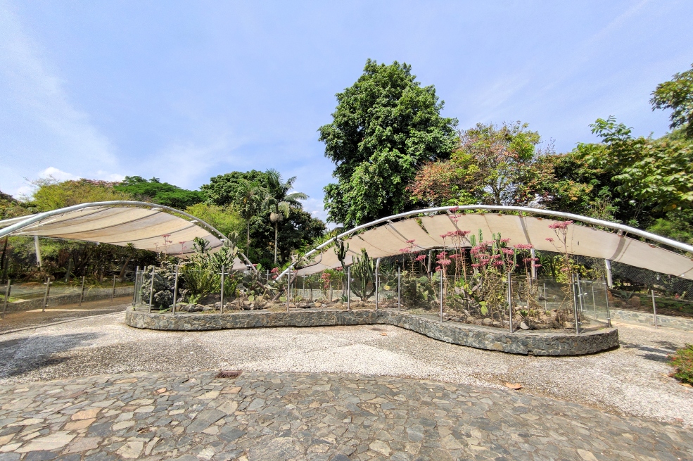 El proyecto de conservación en el que el Jardín Botánico de Medellín es finalista