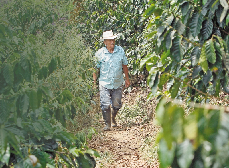 El CNMH encontró una relación entre el desplazamiento forzado, el abandono de tierras y la compraventa de terrenos de origen baldío.   / EFE