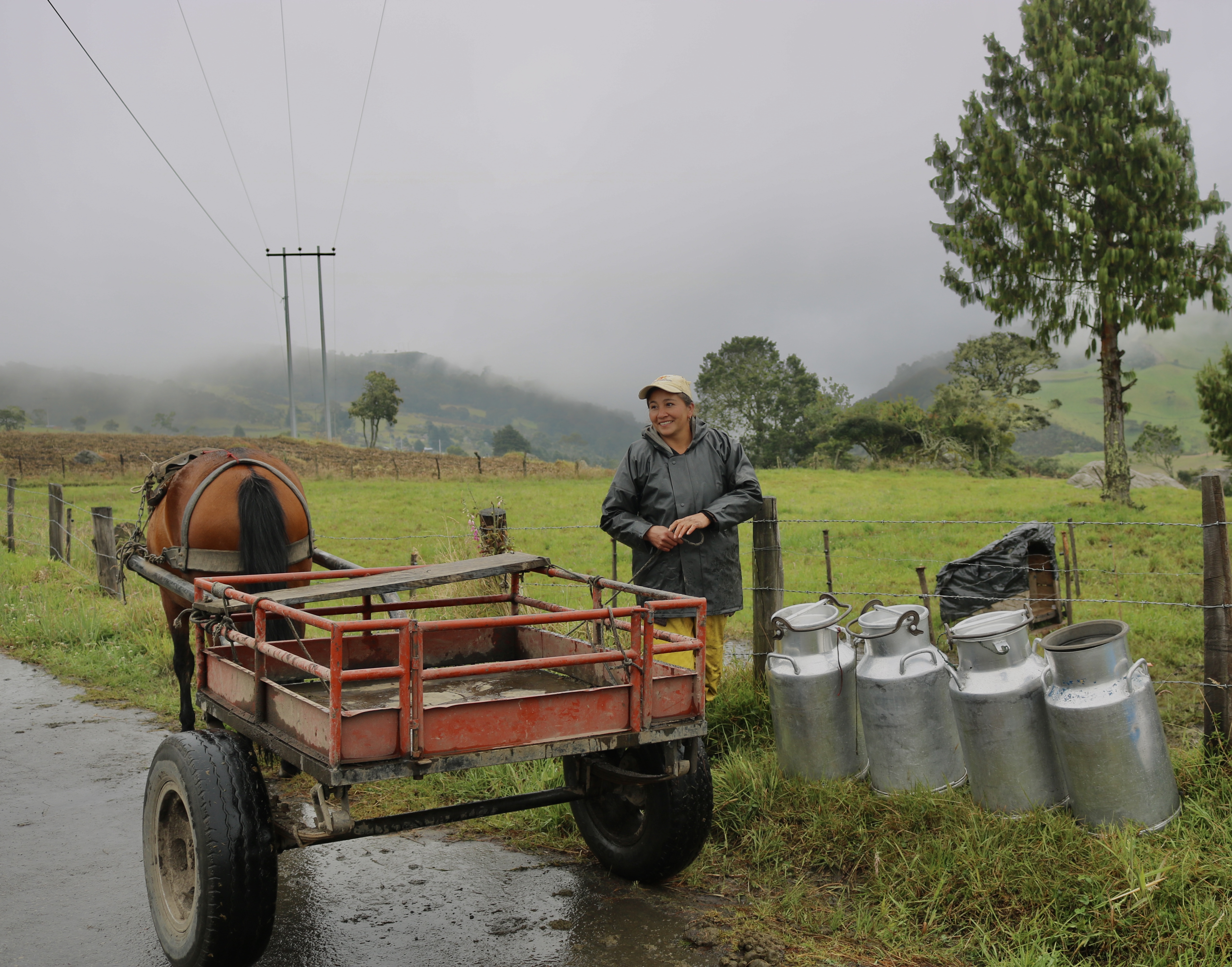 Una mujer campesina junto a un caballo con su carruaje y cantinas grandes de leche.