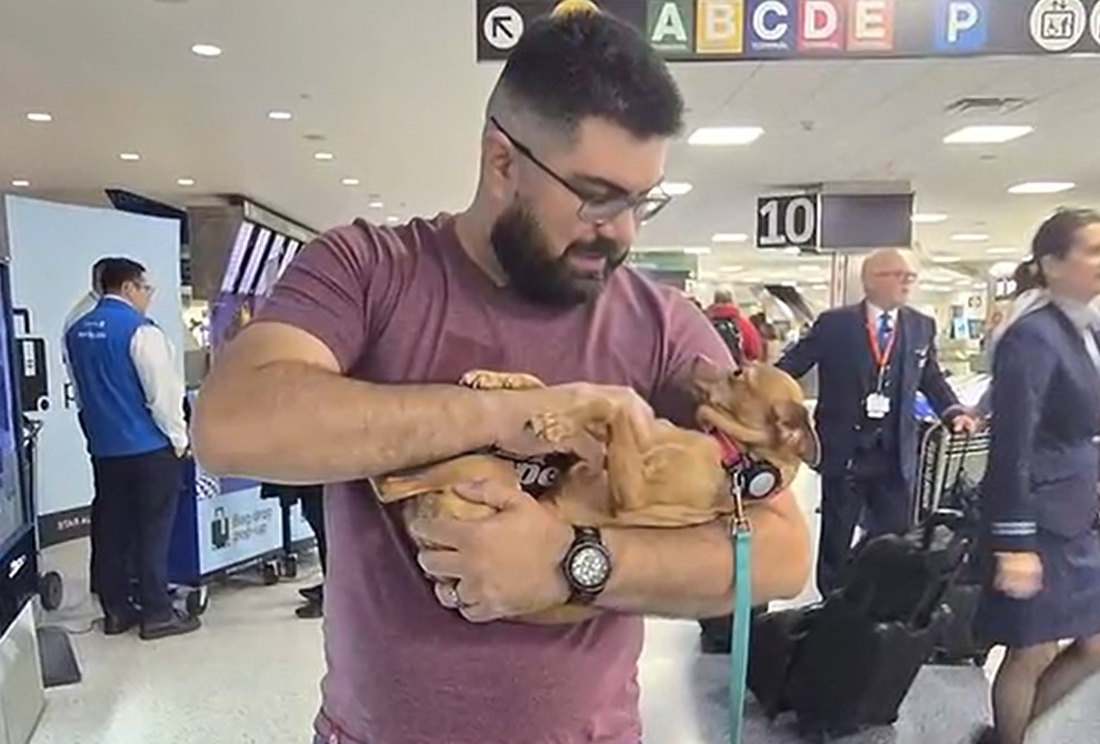 Perrita perdida en 2020 reaparece a más de 1.600 km y logra reunirse con su familia
