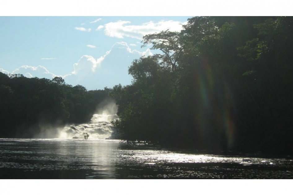 Investigan contaminación con mercurio en Parque Nacional Cahuinarí, Caquetá