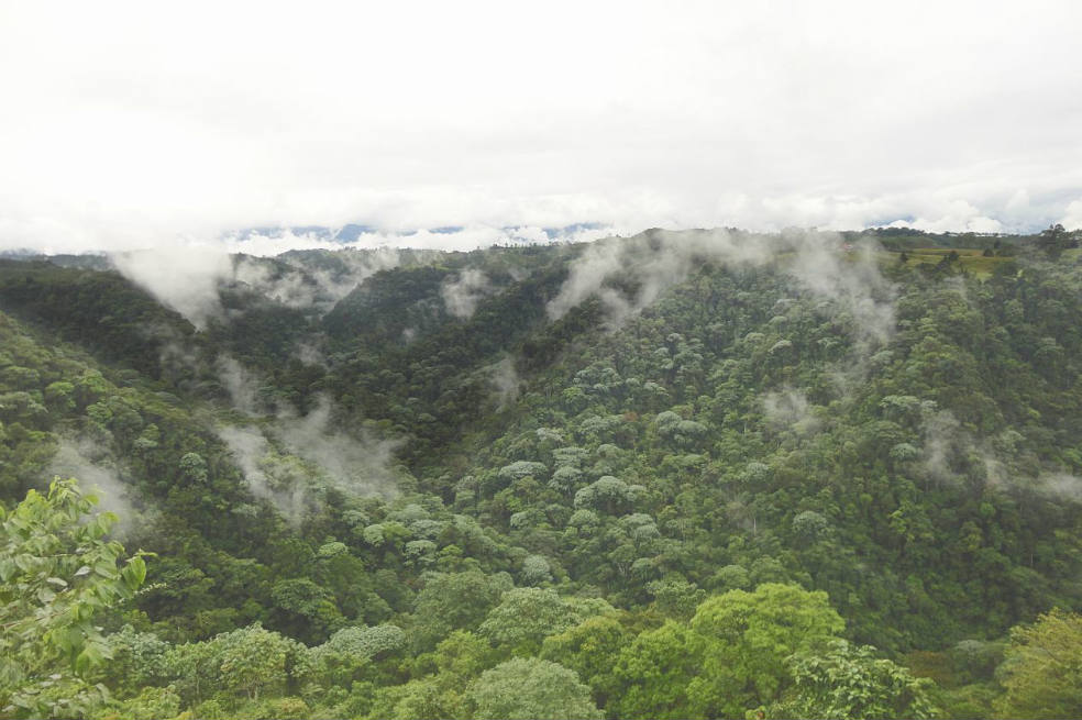 Tempestad (cuento)